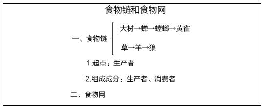 初中生物《食物链和食物网》教案