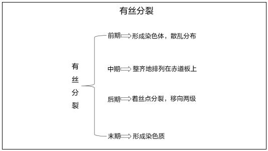 高中生物《有丝分裂》教案